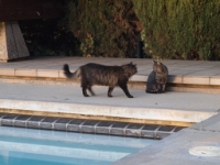 Hermes P2 tests P2130351.JPG.JPG